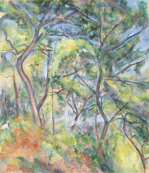 Sous-Bois, Paul Cézanne.